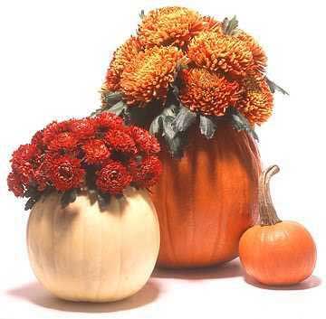 Mums In Pumpkins - 5 Things To Add To Your Home For Fall - Details Full Service Interiors