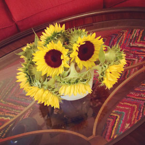 sunflowers - what not to splurge on for your home