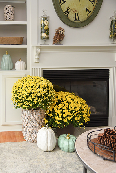 Decorating for Fall That Lasts Until Thanksgiving - Details Full Service - Western MA Interior Design