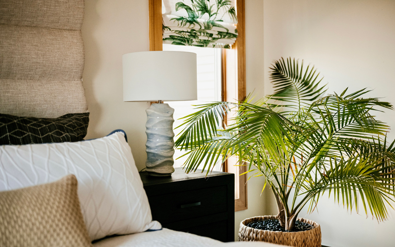 How much did that room cost? Tropical Bedroom