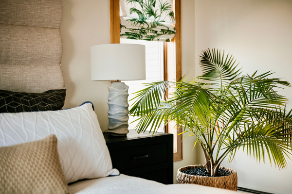 How much did that room cost? Tropical Bedroom