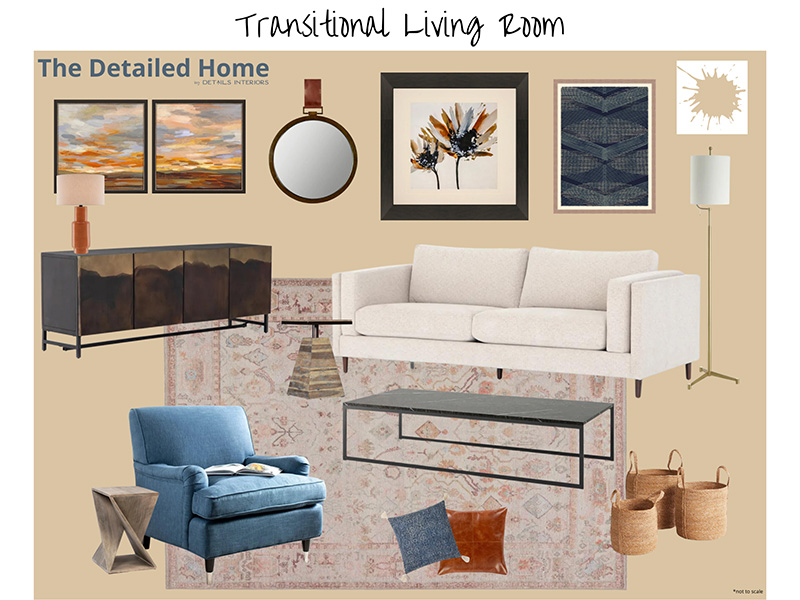 Transitional Living Room - Details Interiors - Interior Design