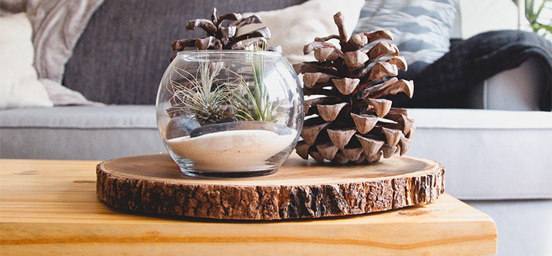 Incorporate Pinecones, Acorns, Dried Leaves into Your Decor